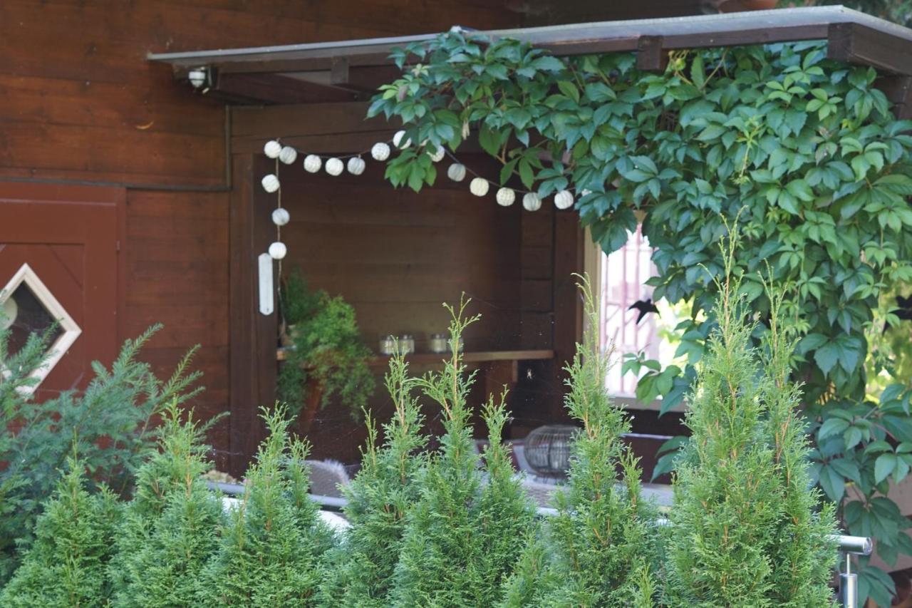 Landhaus Zirmhof Saalbach-Hinterglemm Esterno foto